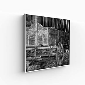 Canvas Wall Art for Living Room, Bedroom Silence Framed Canvas Prints for Home Decoration Ready to Hang - 16x16 inches