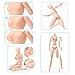 1/6 Scale Obitsu 10.6 inches Female Body 27BD-F06N PVC Bust M Size Natural Skin Color