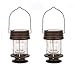 Obell Hanging Solar Lights 2 Pack Outdoor Garden Lamp LED Vintage Hanging Solar Lanterns with Handle for Pathway Yard Patio Decor Tree Beach Pavilion Lights (Warm Light)