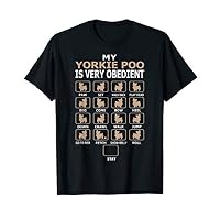 Yorkie Poo Very Obedient Pet Lovers