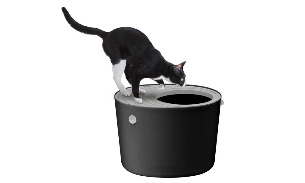 https://images-na.ssl-images-amazon.com/images/I/41HBGcZQ+IL.jpg