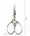 BIHRTC 4.33 Inches Vintage European Style Stainless Steel Auspicious Clouds Scissors for Needlework, Embroidery, Sewing, Craft, Art Work & Everyday Use (Silver)