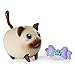 Chubby Puppies & Friends, Siamese Cat (Colors and Styles Vary)