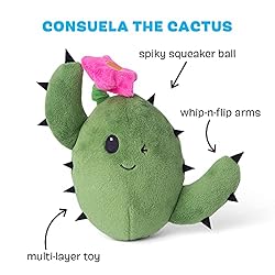 Barkbox 2-in-1 Interactive Plush Puzzle Dog Toys