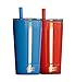 Simple Goods 2 Pack Kids Stainless Steel Sippy Cup Tumbler with Straw, Lid & Bag (Midi, 12 oz, Red/Blue 2 Pack)