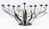 Bronze Narcissus Hanukkah/Chanukah Menorah Copa Judaica