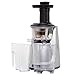Fruitstar (Fs-610-b) Vertical Slow Masticating Juicer for Fruits and Greens