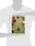 Image de Nature's Cures: From Acupressure and Aromatherapy to Walking and Yoga--The Ultimate Guide to the Best, Scientifically Proven, Drug-Free Healing Method