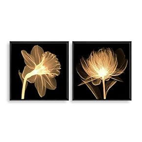 2 Piece Framed Home Artwork Transparent Flower for...