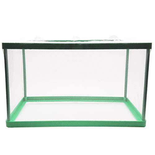 Aquarium Fish Breeder Box, Fish Isolation Box, Hatching Box, Juvenile