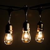 Hometown Evolution, Inc. 100 Foot E26 Commercial Outdoor String Lights with 50 Suspended Sockets and S14 Clear Bulbs for Weatherproof Heavy Duty Vintage Outside Lighting
