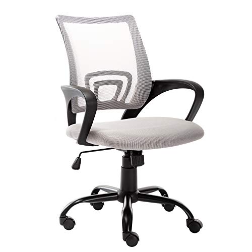 Bonzy Home Office Chair Ergonomic Mesh Desk Chair Computer Chair Lumbar