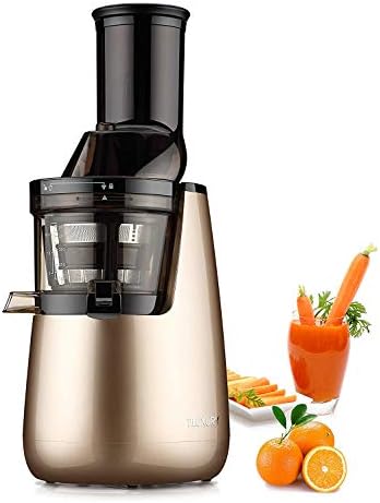 Masticating Juicer 250W Wide Chute Juicer,Slow Juicer, Cold Press Juicer, Whole Fruit & Vegetable Juicer, Vertical Low Speed Masticating Cold Press Slow Juicer (Champagne)
