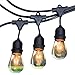 RZSAIDA Light Outdoor String Lights 48 ft Thick Bulb with Hanging Sockets Weatherproof Commercial Grade Bistro Backyard Market Patio Cafe Porch Garden Deck Gazebo Pergola Balcony Exterior Strand