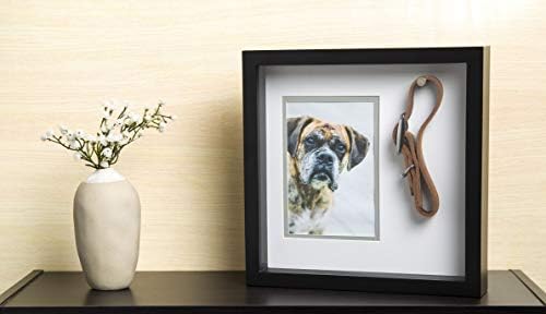 dog collar picture frame