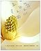 Organic Chemistry, 10th Editiion