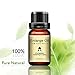 Men's Massage Oil, Private Parts Maintenance Oil, Men's Enlarged Essence Cream, Men's Massage Products, 100% Herbal Pure Essential Oil