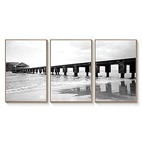 Floating Framed Canvas Wall Art for Living Room, Bedroom Black and White Landscape Canvas Prints for Home Decoration Ready to Hang - 16"x24"x3 Panels