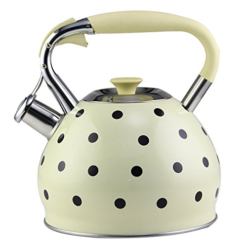 Riwendell 3.2 Quart Whistling Tea Kettle Stainless Steel Dot Print StoveTop Teapot (GS-04517CFY-3.0L)