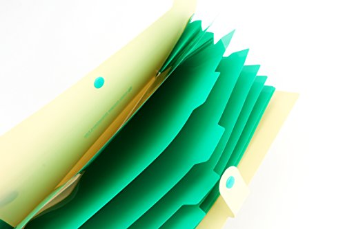 Bekith Document File Folder Poly Expanding A4 and Letter Size File Organizer, 8 Pockets, 4 Pack