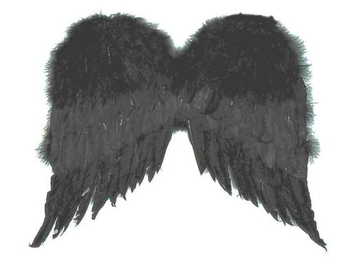 Forum Novelties Women's Large Feather Costume Wings