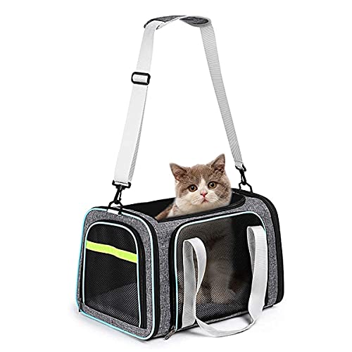CATISM Cat Carrier,Airline Approved Pet Carriers,Collapsible 15 Lbs - Bearing Dog Carriers, 3 Openable mesh Windows and Escape-Proof Buckle for Pet\'s Journey Safe and Comfortable