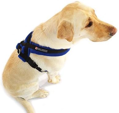 walkeez harness
