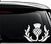Thistle Flower Scotland Scottish Decal Sticker For Use On Laptop, Helmet, Car, Truck, Motorcycle, Windows, Bumper, Wall, and Decor Size- [6 inch] / [15 cm] Wide / Color- Gloss White