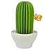 HSI Cactus Non-Electric Personal Humidifier in Green, Piozio