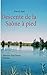 Descente de la Saône à pied (French Edition) by Patrick Huet