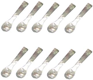 Novelty Mini Seashell Spoon Mother of Pearl Contains 20 Pcs. 2.5 " Long