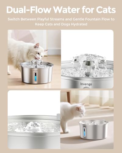 Fontaine a Eau Chat, Fontaine à Eau pour Chat INOX 3,2L avec Bec en Forme de Fleur - Idéale pour Chats et Petits Chiens, Inclut 4 Filtres et Fenêtre de Niveau d'eau