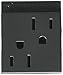 Legrand adorne 15A Tamper-Resistant Outlet (Magnesium Finish), ARTR152M4
