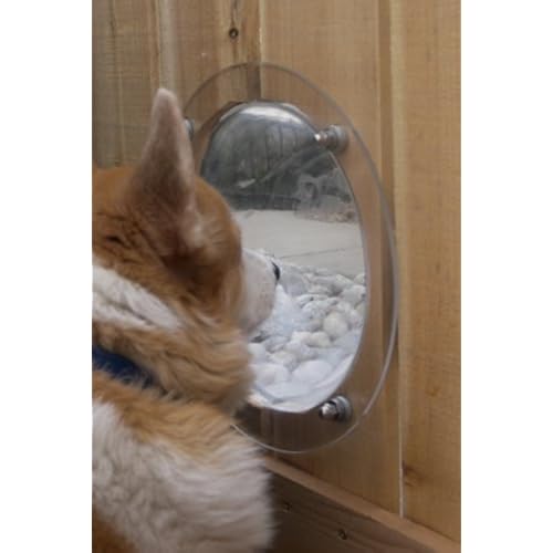 PetPeek Fence Window for Pets Pet Supplies, Dogs, Beds & Furniture