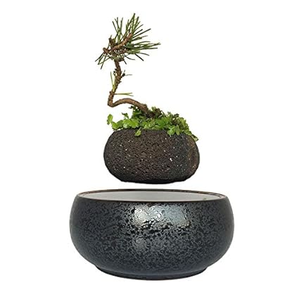 Levitation Pot Plant Pots Floating Bonsai Tree Garden Gifts For Men Volcanic Stone