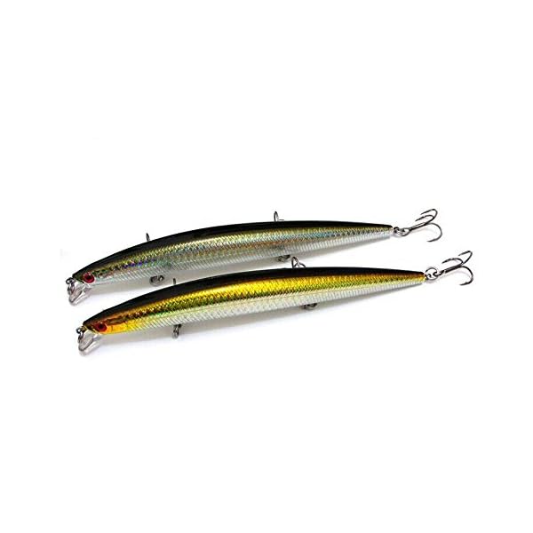 Goture-Hard-Fishing-Bait-2-Pieces-Lure-Minnow-17cm27g-Floating-Lures-for-Saltwater