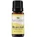 Plant Therapy Essential Oils Brain Aid Synergy - Focus & Attention Blend 100% Pure, Undiluted, Natural Aromatherapy, Therapeutic Grade 10 mL (⅓ oz) primary