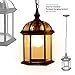 ETOPLIGHTING Bella Luce Collection Exterior Outdoor Wall Lantern, Oil Rubbed Rust Body Finish Clear Seeded Glass, APL1023