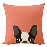 Yoler Pillow Case Decorative Cute Puppy Art Outdoor Sofa Cushion Satin Bright Colorful Painting Pillowcases