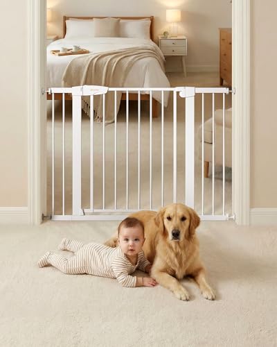 Baby Gate