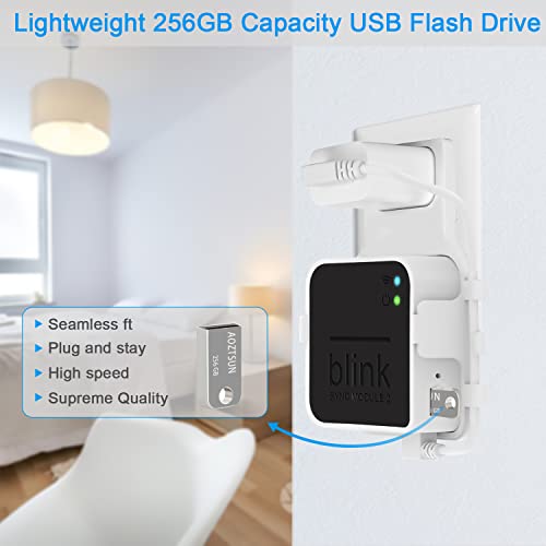 256GB USB Flash Drive and Outlet Wall Mount for Blink Sync Module 2