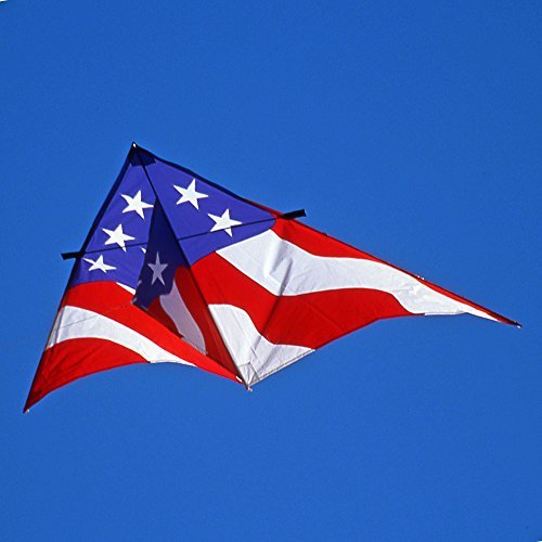 8 1/2-ft. Patriotic Delta Single Line Kite