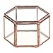 Jili Online Mini Copper Faceted Hexagonal Clear Glass Jewelry Box Tabletop Home Decoration