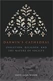 Darwin's Cathedral: Evolution, Religion, and the Nature of Society