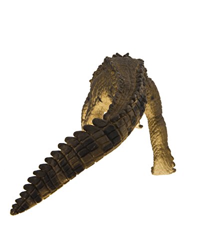 Safari Ltd  Wild Safari Kaprosuchus