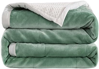 Cashmere Velvet Reverse to Cloud Sherpa Throw / Bed Blanket, Full Size 80"x91" Mint
