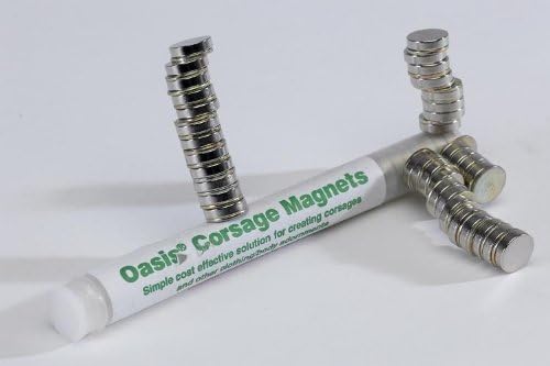 Oasis Corsage Magnets