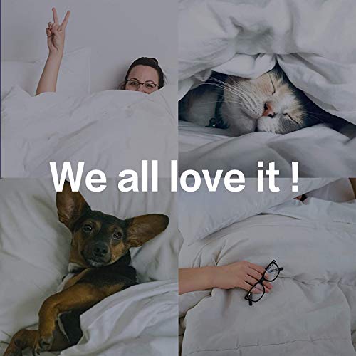 FAIRYLAND Luxurious Siberian Goose Down Comforter King Size Winter