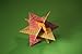 Geometric Origami Kit: The Art of Modular Paper Sculpture: This Kit Contains an Origami Book with 48 Modular Origami Papers and an Instructional DVD