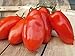 TOMATO, SAN MARZANO, HEIRLOOM, ORGANIC, 20+ SEEDS, TOMATO SEEDS, CLASSIC TOMATO